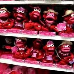 Meet your Posher, Kara